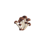 Cluster Mushroom digitized embroidery design