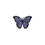 Blue Morpho Butterfly - Blue Morpho Butterfly OSFM