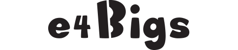 e4Bigs.com