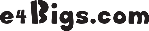 e4Bigs
